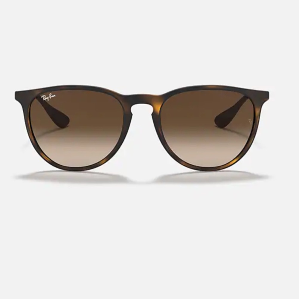 Ray-Ban Erika Classic Sunglasses
